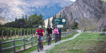 Bike Tours - Half Day Bike the Wineries - Everything New Zealand