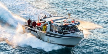 Fishing Trip - Kaikoura Fishing Tours - Everything New Zealand