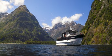 Milford Sound Premium Cruise - RealNZ - Everything New Zealand
