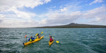 Kayaking - Rangitoto Island Day Tour - Everything New Zealand