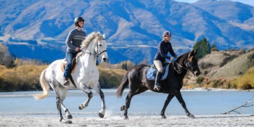 Horse Riding - Shotover River Trails - Everything New Zealand