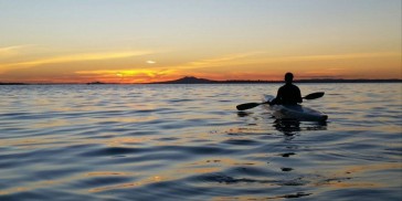 Kayaking - Rangitoto Island Sunset Tour - Everything New Zealand