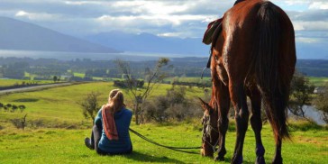 Horse Riding - Westray Horse Treks - Everything New Zealand