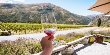 Wine Sampler Tour - Altitude Tours - Everything New Zealand