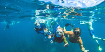 Perfect Day - Dive Tutukaka - Everything New Zealand