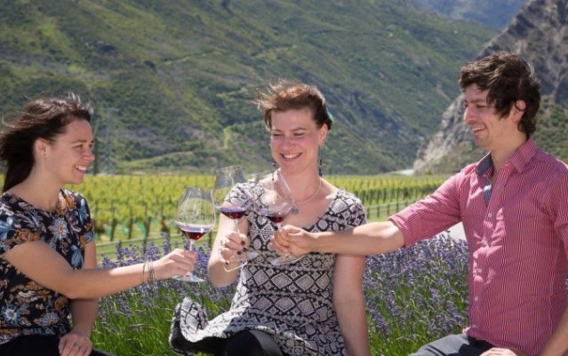 Wine Tours - Appellation Central Wine Tours - Queenstown