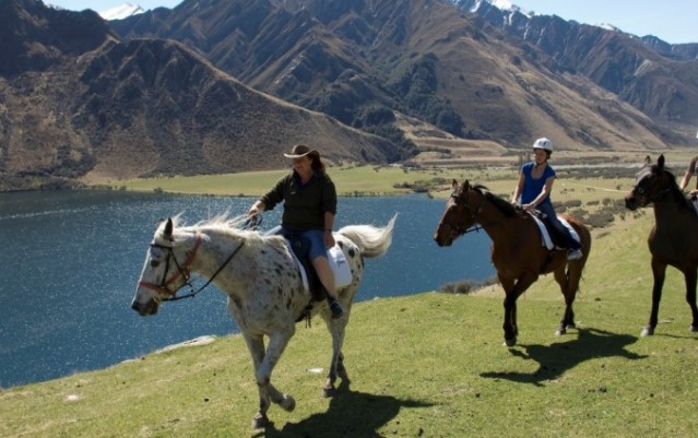 Horse Riding - Ben Lomond Trekking - Queenstown