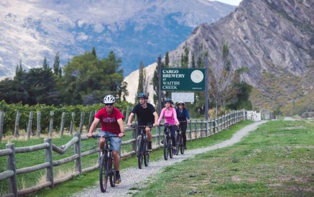 Bike Tours - Half Day Bike the Wineries