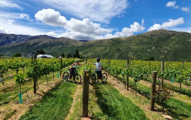 Guided E-Bike Tours - Ride to the Vines