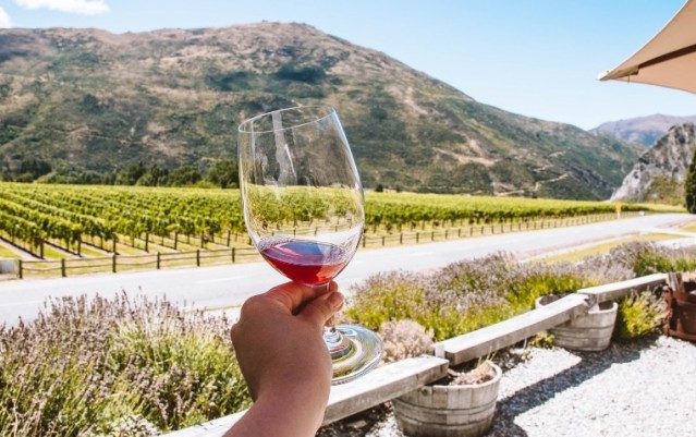 Wine Sampler Tour - Altitude Tours