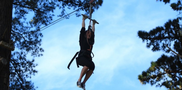 Adrenalin Forest Wellington | Everything New Zealand