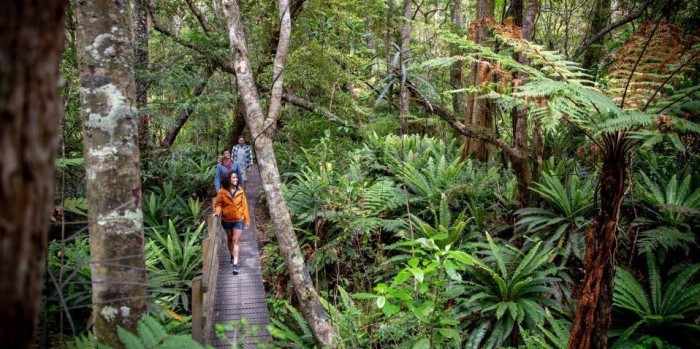 Rakiura For A Day Package Everything New Zealand