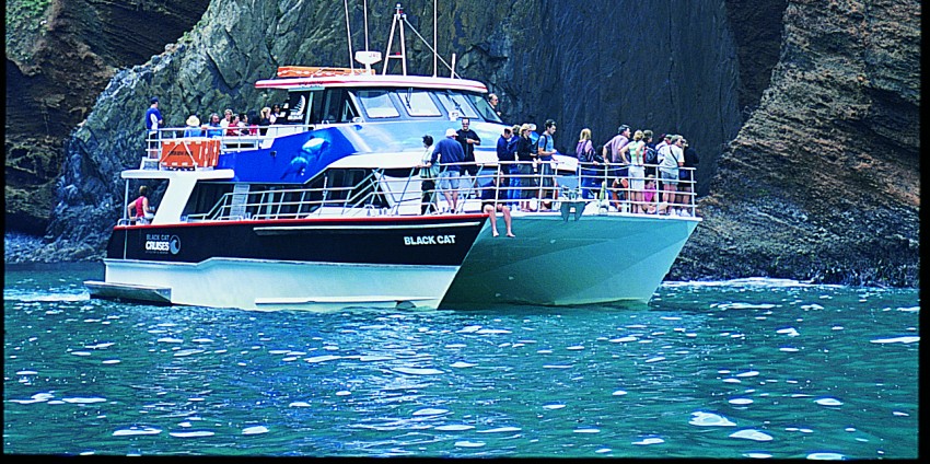 Black Cat Cruises Lyttelton Black Cat Cruises Lyttelton