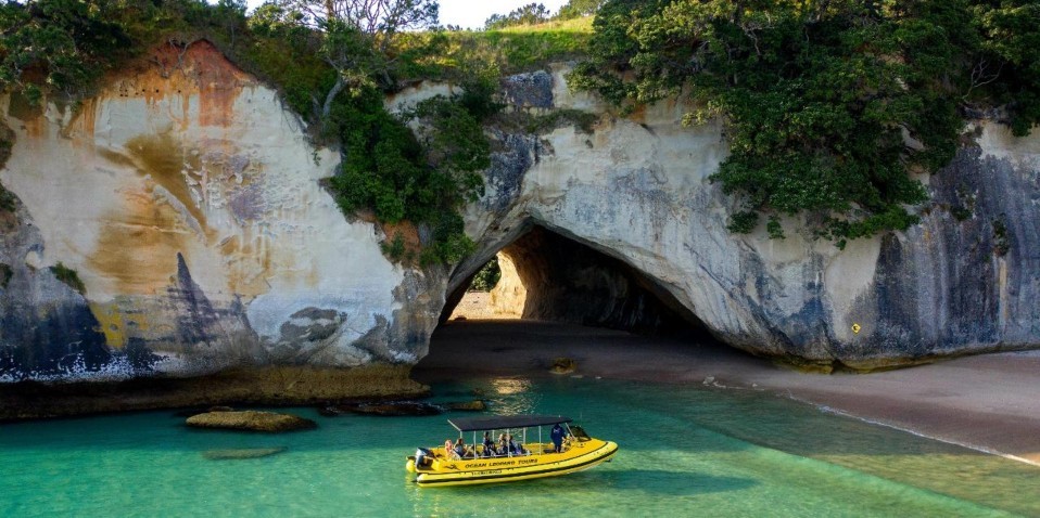 Cathedral Cove Boat Cruise