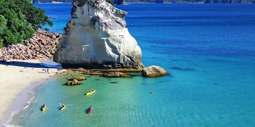 SHARK ATTACK CAUGHT ON TAPE! (GRAPHIC CONTENT) - YouTube Cathedral Cove Kayak Tours | Kayaking Coromandel ...