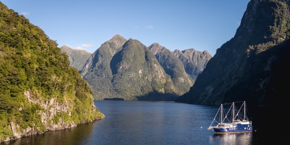 2 night cruise doubtful sound