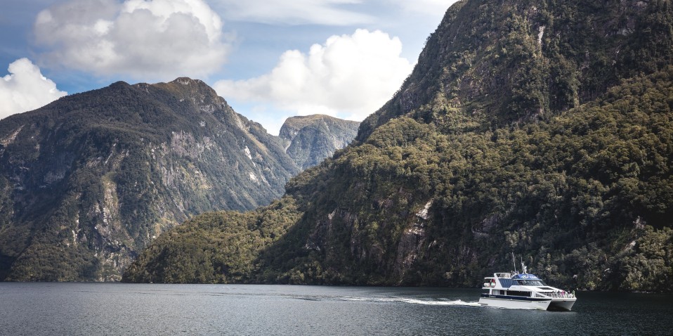 Doubtful Sound Wilderness Day Cruise from Manapouri