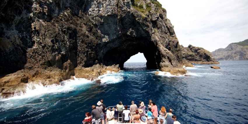 Hole In The Rock Dolphin Cruise