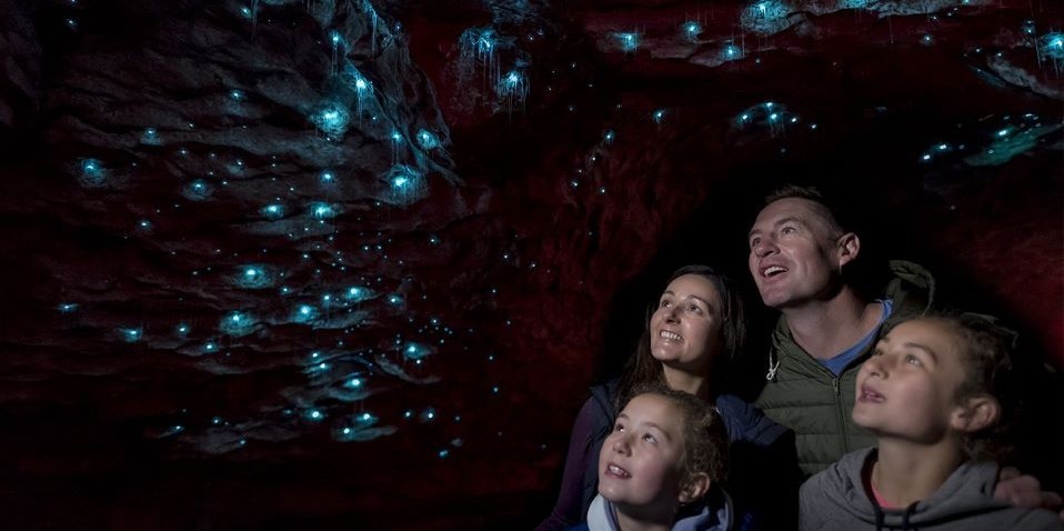 Te Anau Glow Worm Caves from Queenstown