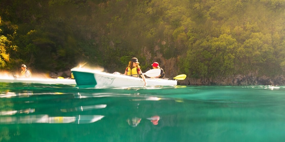 Kayaking - Private Guided Eco Tour