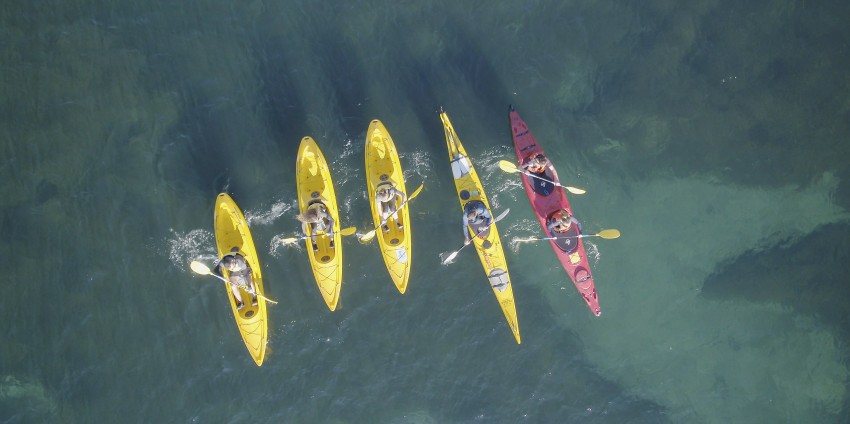 paddle boats queenstown paddle queenstown kayak tours kayaking queenstown paddle boats queenstown paddle queenstown kayak tours kayaking queenstown