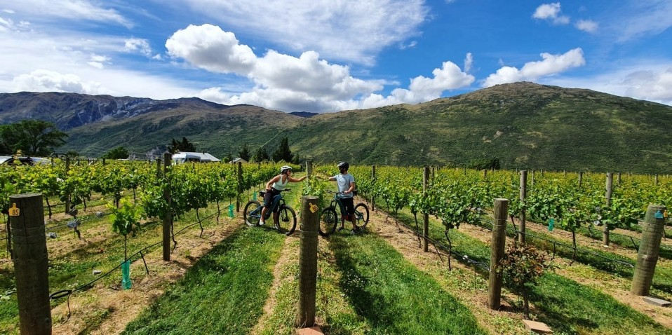 Guided E-Bike Tours - Ride to the Vines