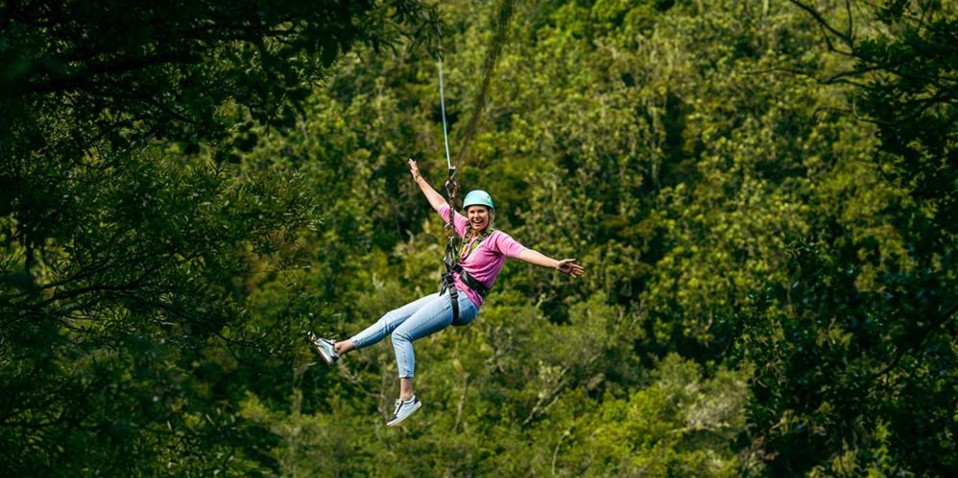 Ziplining - Rotorua Ziplines