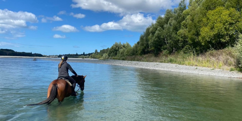Horse Riding - Waimak River Riding Centre