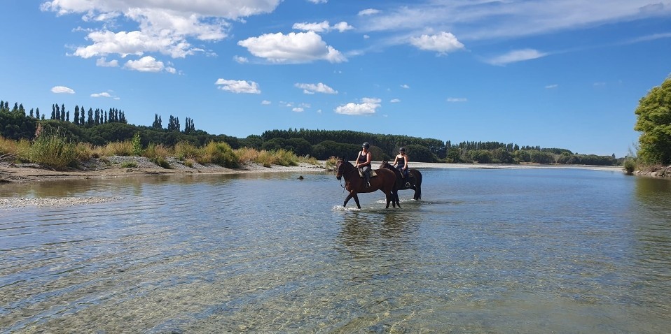 Horse Riding - Waimak River Riding Centre