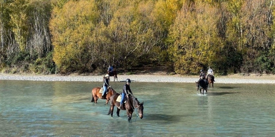 Horse Riding - Fantail River Ride