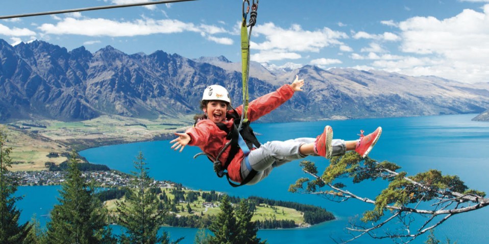 ziptrek eco tours