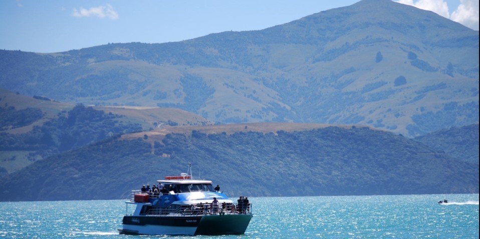 christchurch nature cruise