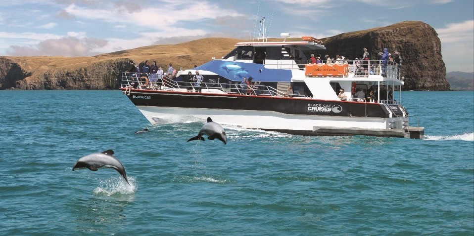 christchurch nature cruise