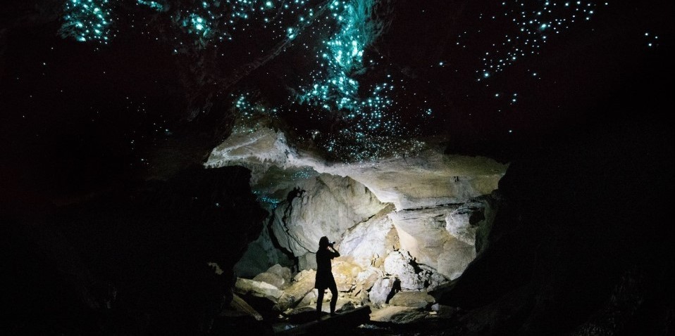Waitomo Glow Worm Caves - Glowing Adventures