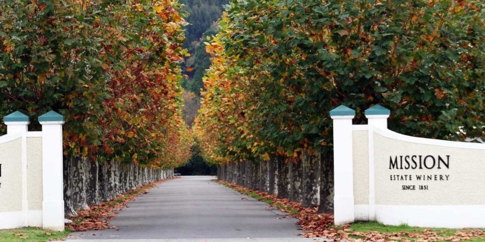 Wine Tours - Hawkes Bay Wine Experience