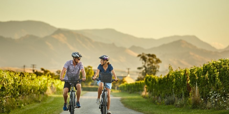 new zealand wine bike tours