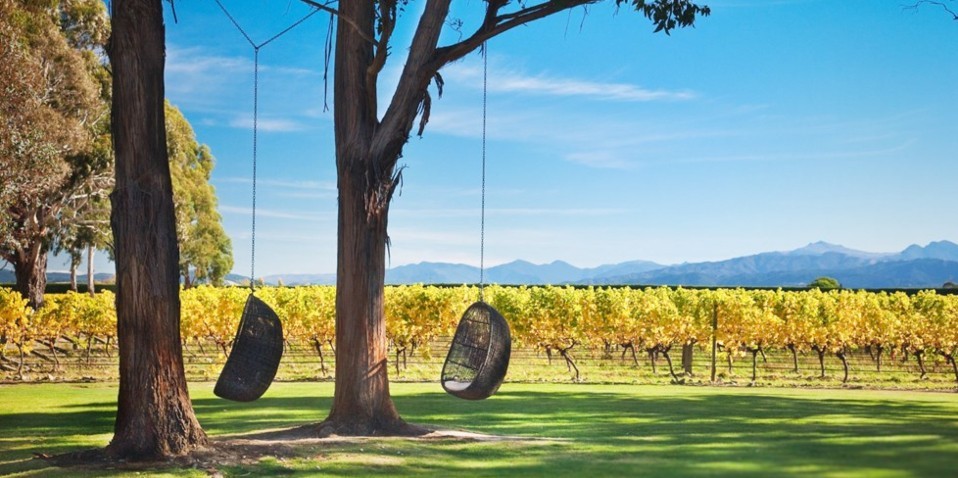 taste marlborough tour