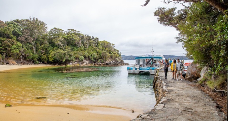 Boat Tours