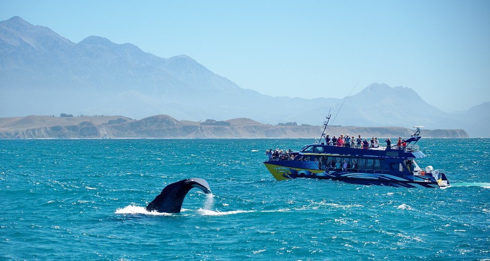 Boat Tours