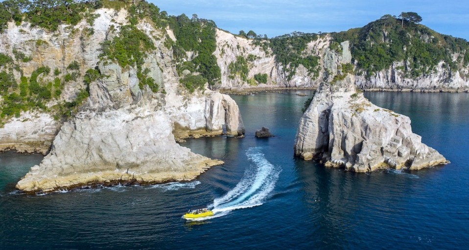 Boat Tours