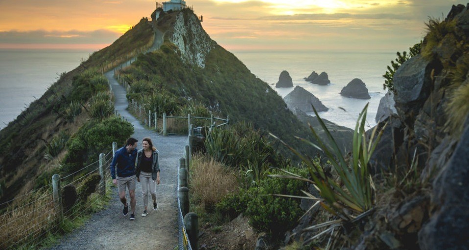 day tours dunedin