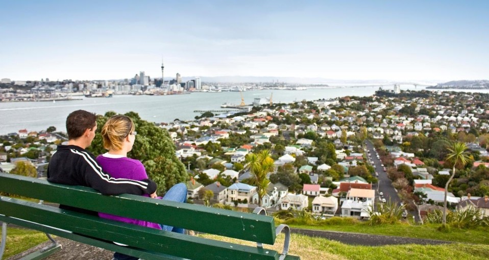 auckland half day tours