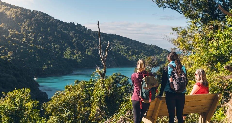 Hiking Tours & Guided Walks
