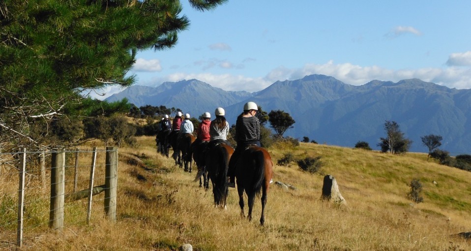 Horse Riding