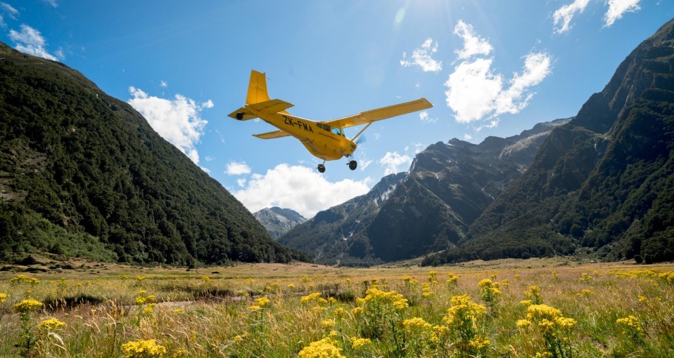 Scenic Plane Flights