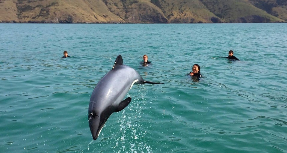 Scuba Diving & Snorkelling