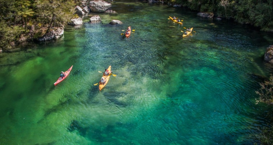 Abel Tasman Activities