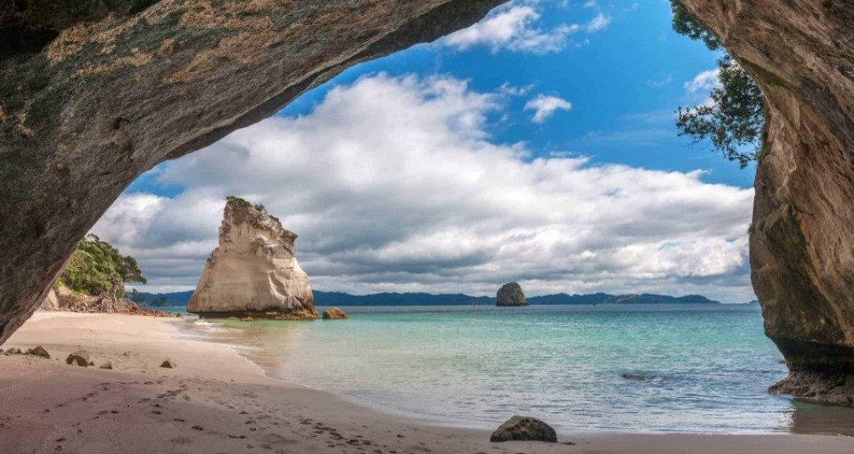 Coromandel Tours & Activities