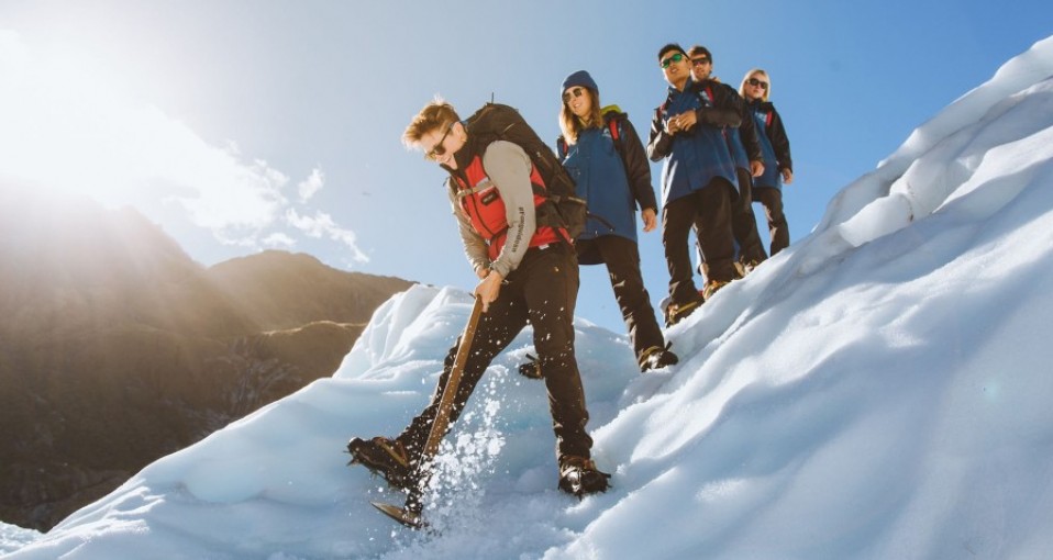 Fox Glacier Tours & Activities