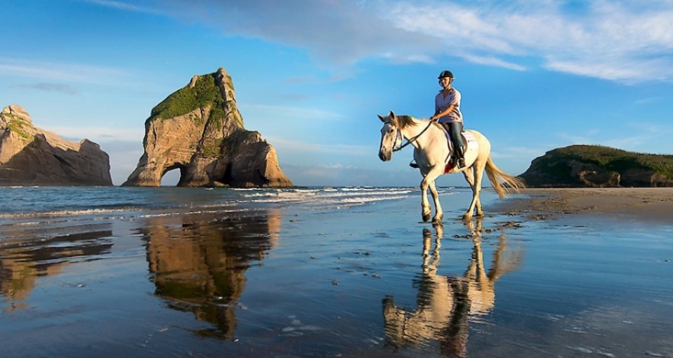 Golden Bay & Farewell Spit Tours